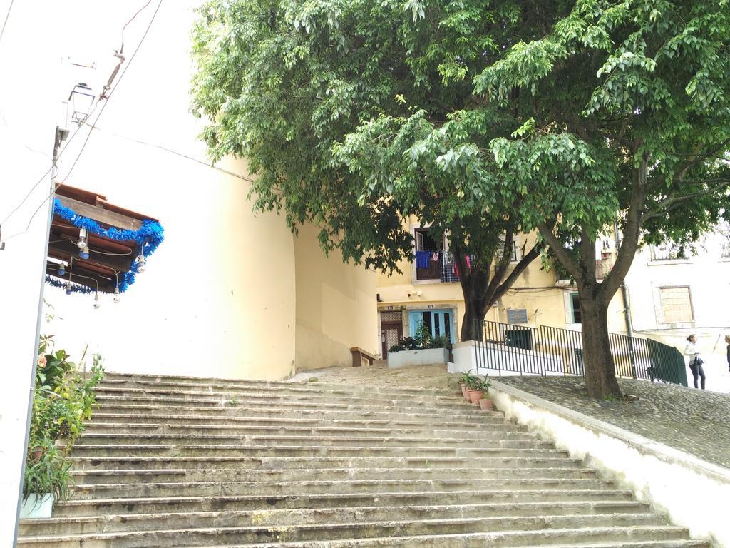 Apartamento Janelas Ao Sol